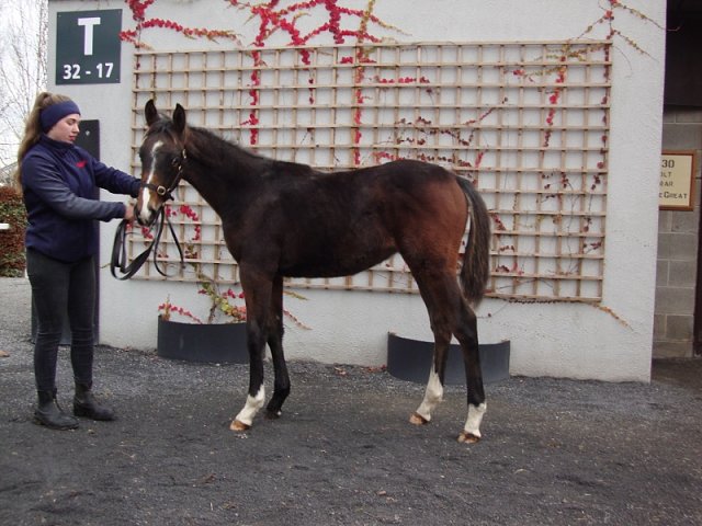Manwal second at Ballinrobe on 21st June 2021