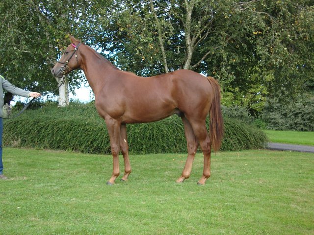Marco Aurelio wins in La Zarzuela on 26th June 2025