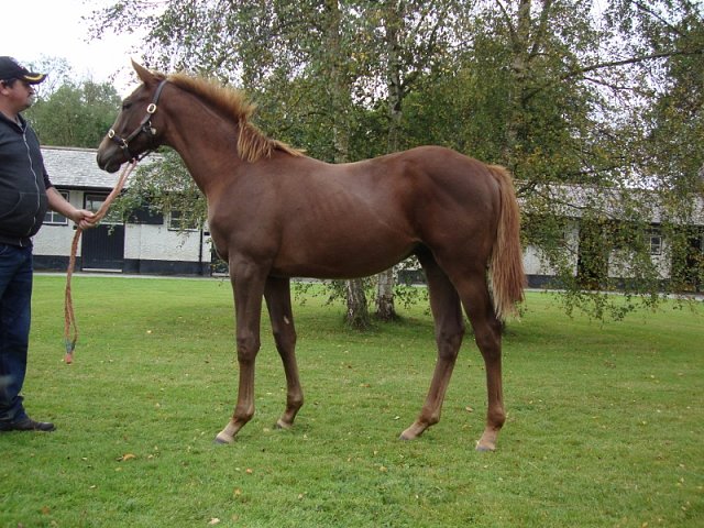 Marco Aurelio second at Dos Hermanas on 6th December 2024