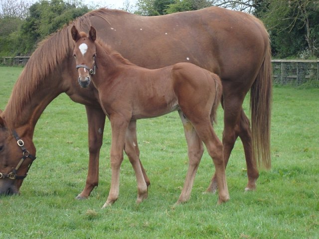 Marco Aurelio second at Dos Hermanas on 6th December 2024