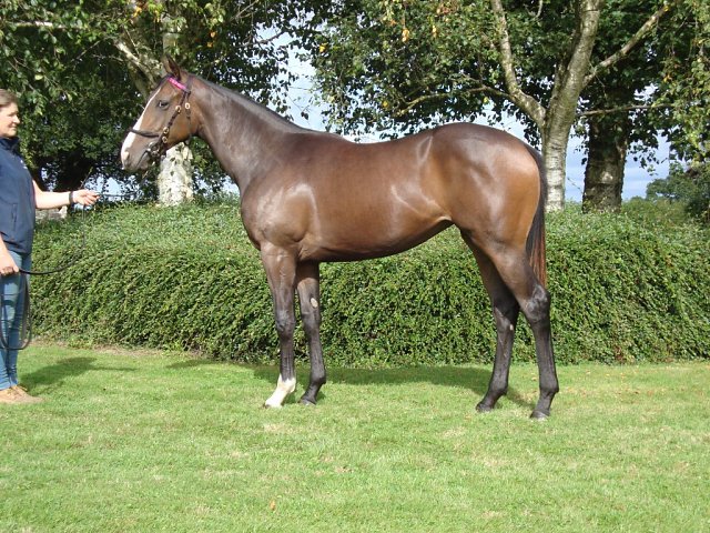 Mary Bagot wins at Dundalk on 1st March 2024