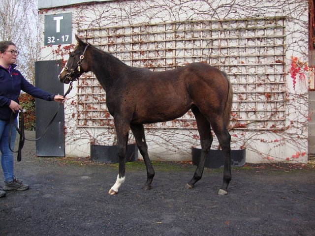 Mary Bagot wins at Dundalk on 1st March 2024