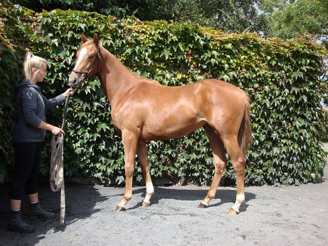 Mary Pickersgill third at Dundalk on 3rd November 2021