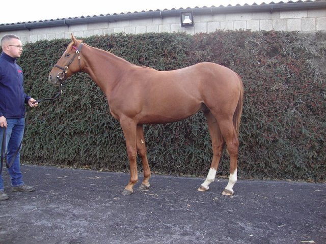 Masterwin wins Listed Race at San Siro on 13th June 2020