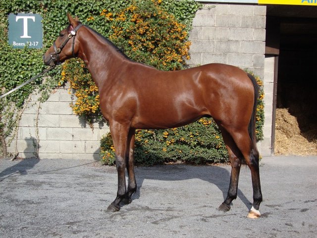Merhoob third at Lingfield on 3rd May 2022