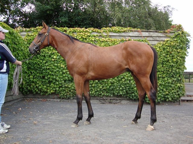 Merhoob wins at Chelmsford on 10th September 2018