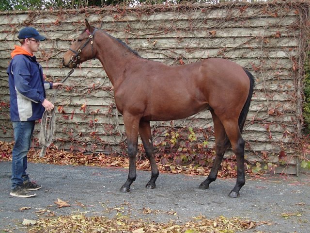 Mirrie Dancers wins at Redcar on 24th June 2023