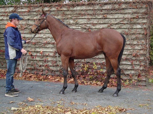 Mirrie Dancers second at Wolverhampton on 19th July 2023