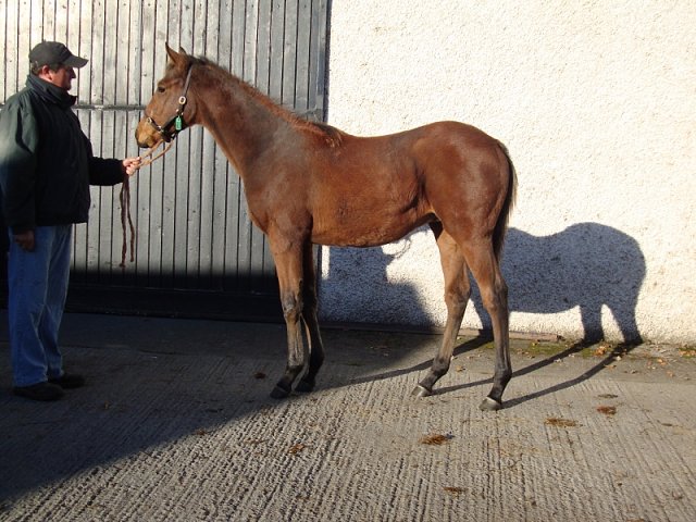 Mirrie Dancers wins at Redcar on 24th June 2023