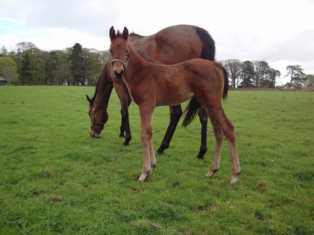 Mirrie Dancers wins at Redcar on 24th June 2023