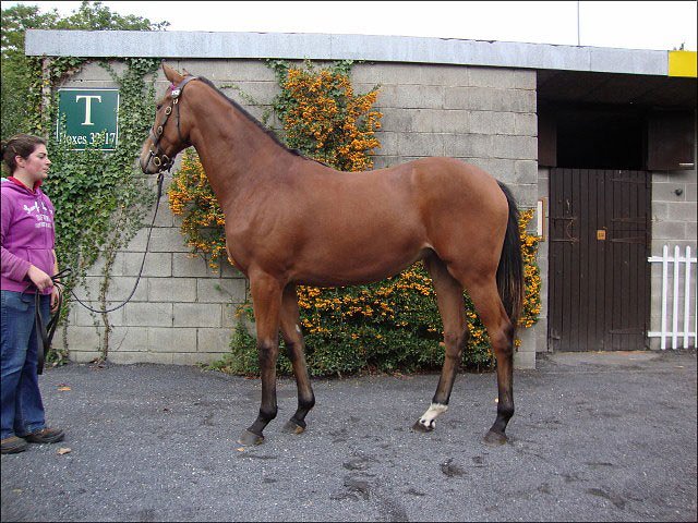 Miss Macnamara third at Chester