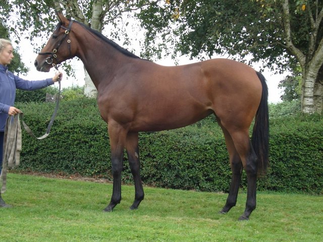 Mistrix second at Doncaster on 14th May 2022