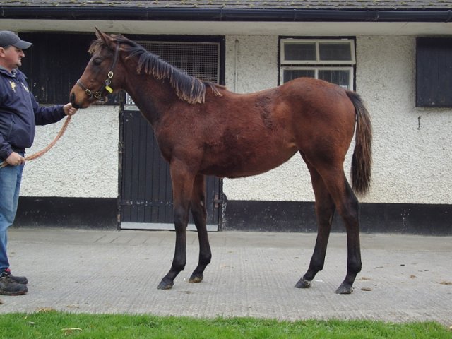 Mistrix wins at York on 5th September 2021