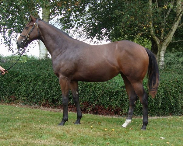 Mma Ramotswe third at Bath on 9th August 2023