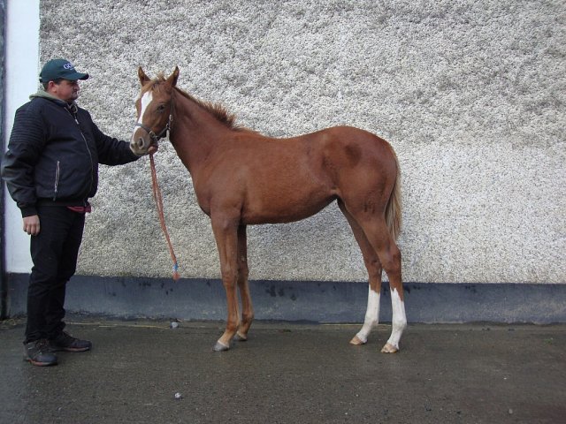 Modern Utopia third at Doncaster on 30th March 2025