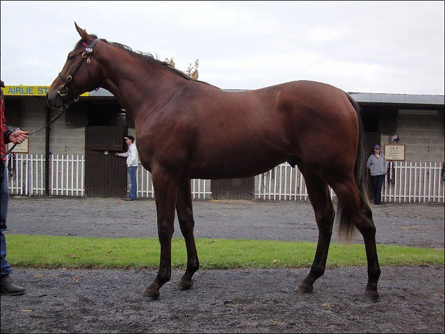 Montaser wins at Ascot