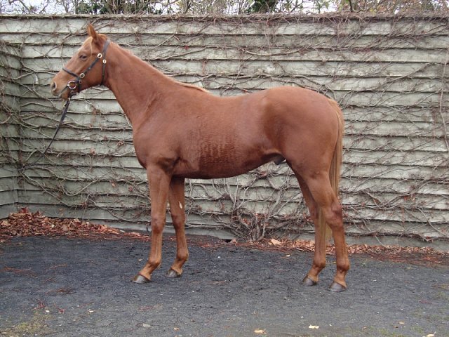 Moomba second at Newmarket on 27th June 2020