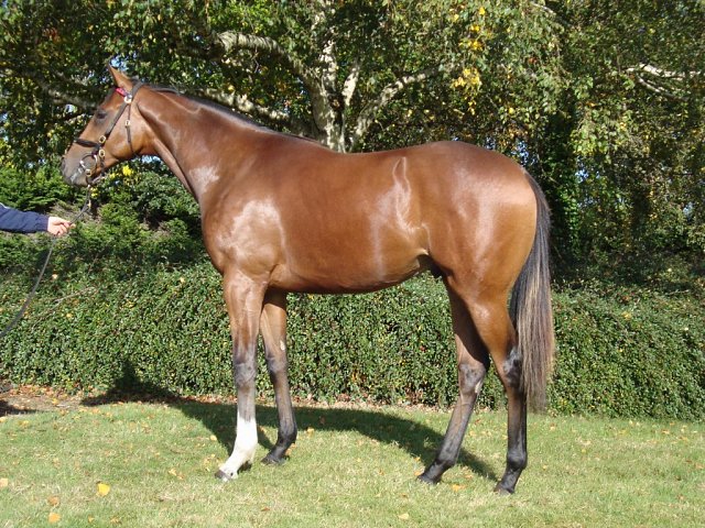 Mooney Vision third at Deauville on 4th August 2026