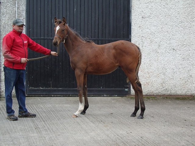 Mooney Vision third at Deauville on 4th August 2026