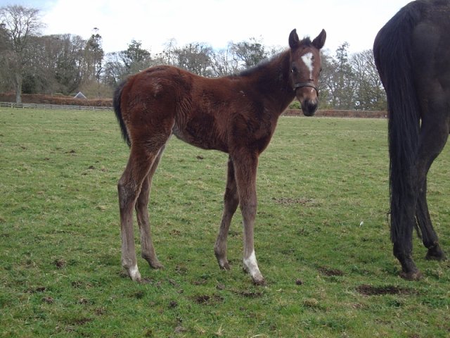 Mrs Fitzherbert wins at Wolverhampton on 23rd September 2021