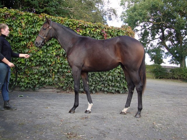 Mrs Fitzherbert wins at Wolverhampton on 23rd September 2021