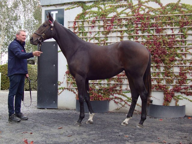 Mrs Fitzherbert wins at Wolverhampton on 23rd September 2021