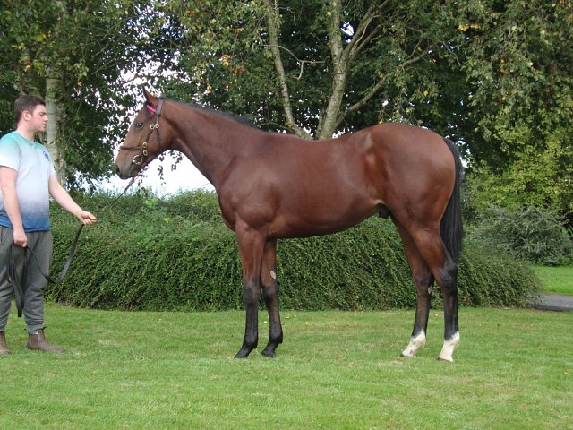 Myna wins at Leicester on 9th May 2026