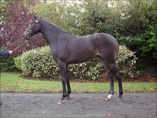 Namely third at Catterick