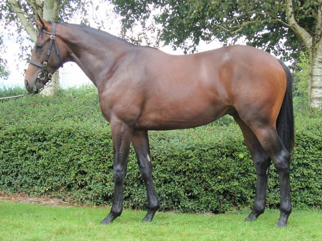 Neptune Legend wins at Bath on 7th June 2024