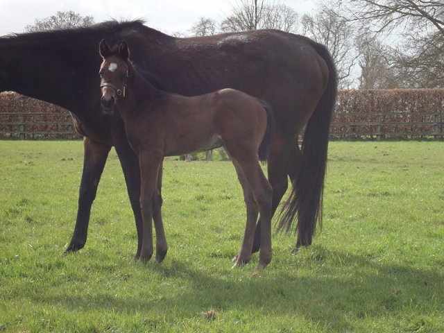 Neptune Legend wins at Brighton on 29th May 2026