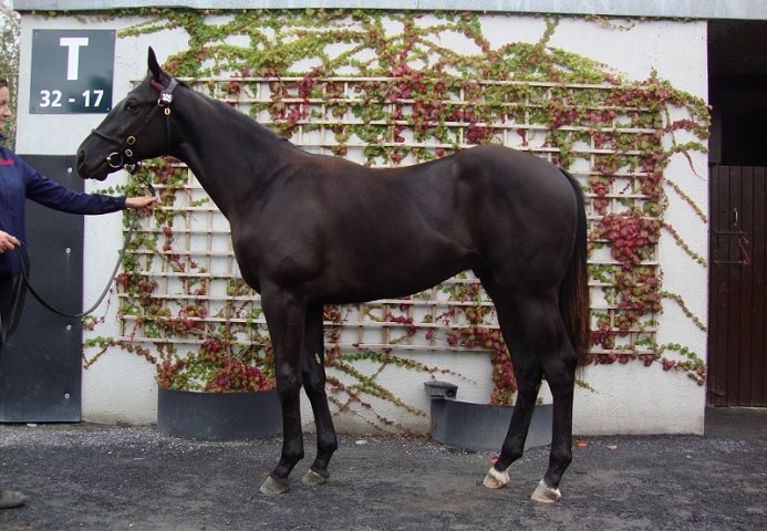 Never No Way wins at Turffontein, South Africa on 10th July 2021