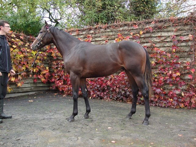 Newbridge Sweety wins at Siracusa, Italy on 4th March 2023