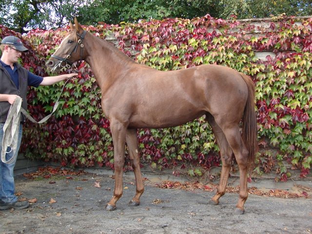 Notice wins at Yarmouth