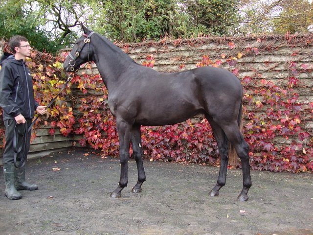 Orologio wins at Pisa on 29th March 2026