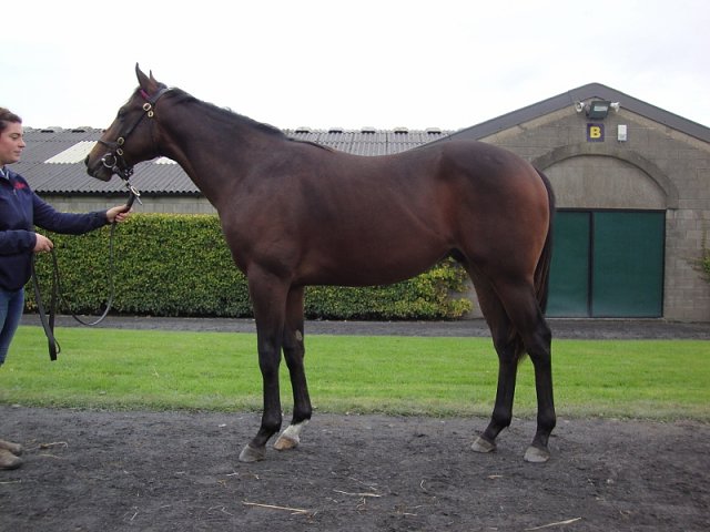 Our Class Act third at Happy Valley on 28th June 2023