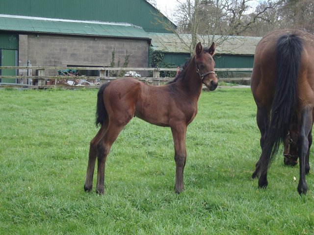 Our Guy wins at Windsor on 4th May 2026