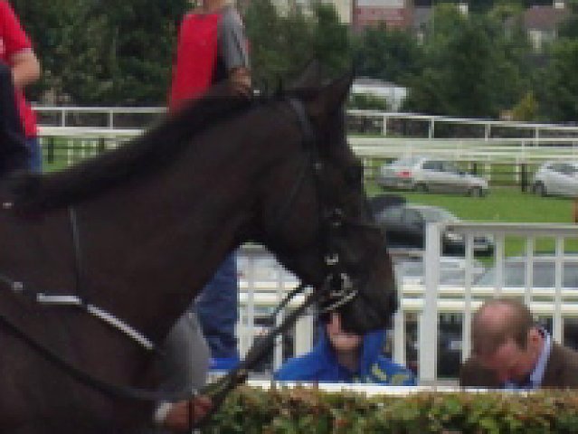 Palmones wins at Gowran Park
