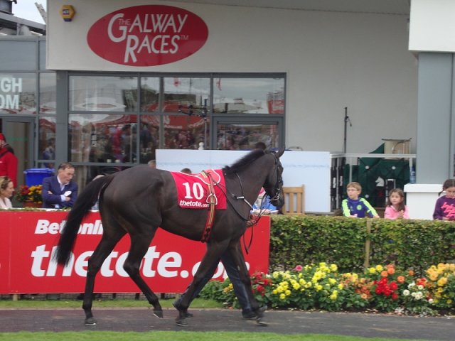 Palmones wins at Ballinrobe