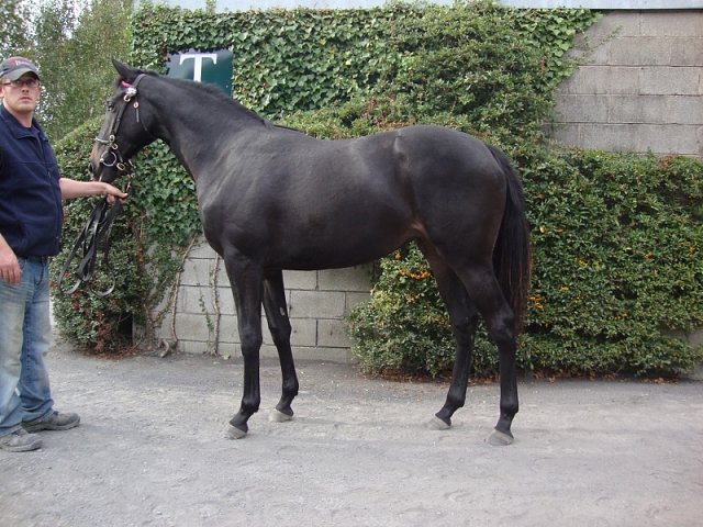 Palmones wins at Gowran Park