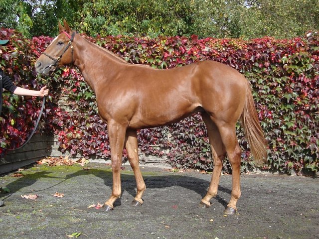 Parkers Hill third at Navan on 10th July 2021