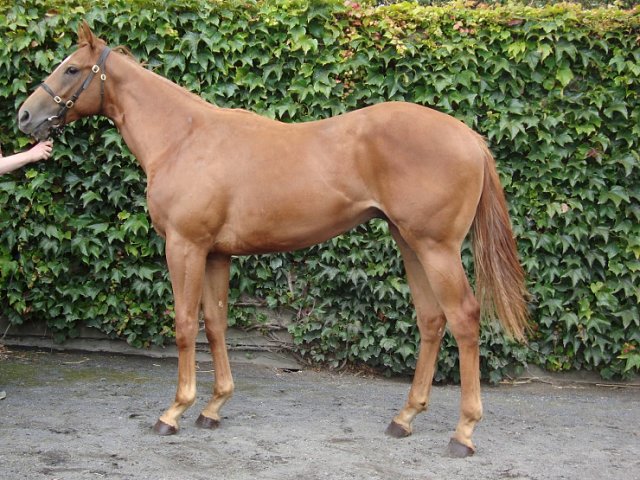 Parkers Hill third at Navan on 10th July 2021