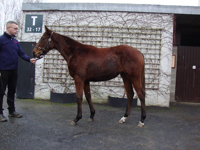 Perrine third at Kempton on 4th September 2024