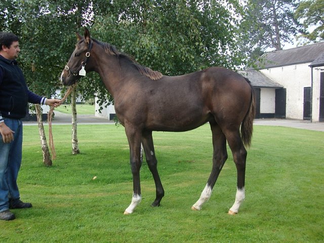 Pincheck second in Amethyst Stakes Group 3 on 13th May 2018