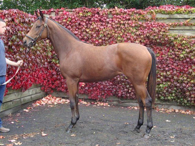 Plus Ca Change won at Dundalk