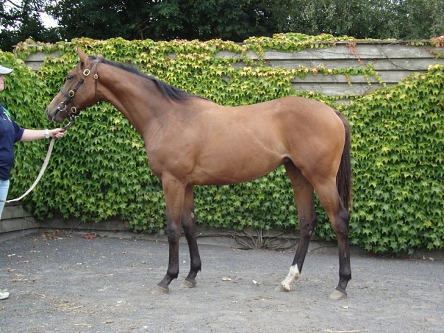 Puck Fair wins at Leopardstown