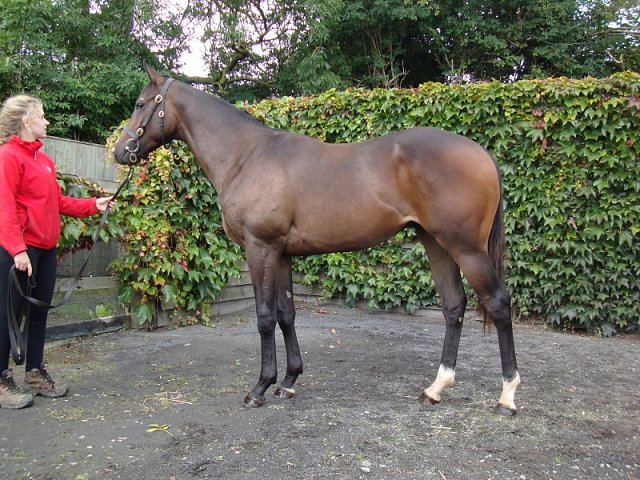 Quarantine Dreams third in Listed Race on 26th June 2021