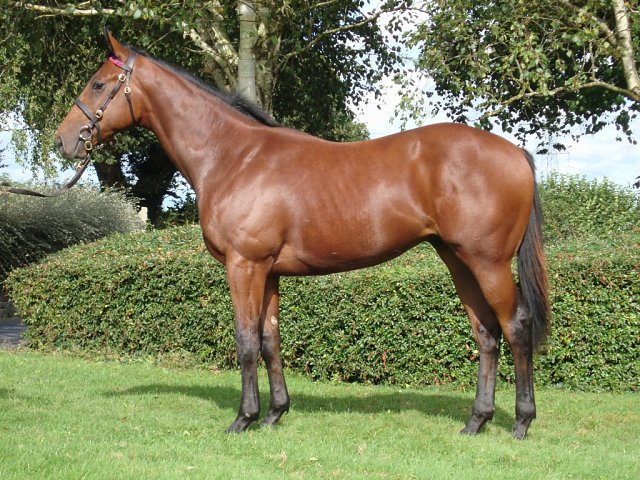 Rare Change wins at Pontefract on 22nd June 2025
