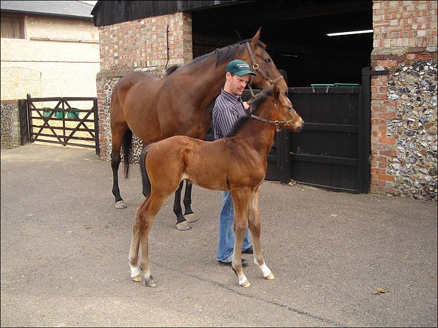 Rasheed third at Kempton