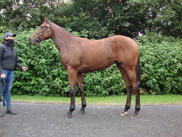Rayita third at Salisbury on 17th June 2018