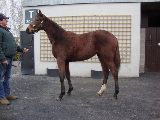 Red Lark third in Grade 3 at Santa Anita on 27th March 2021